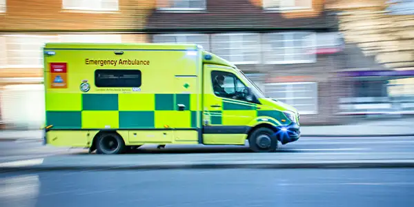 Emergency Services Sector