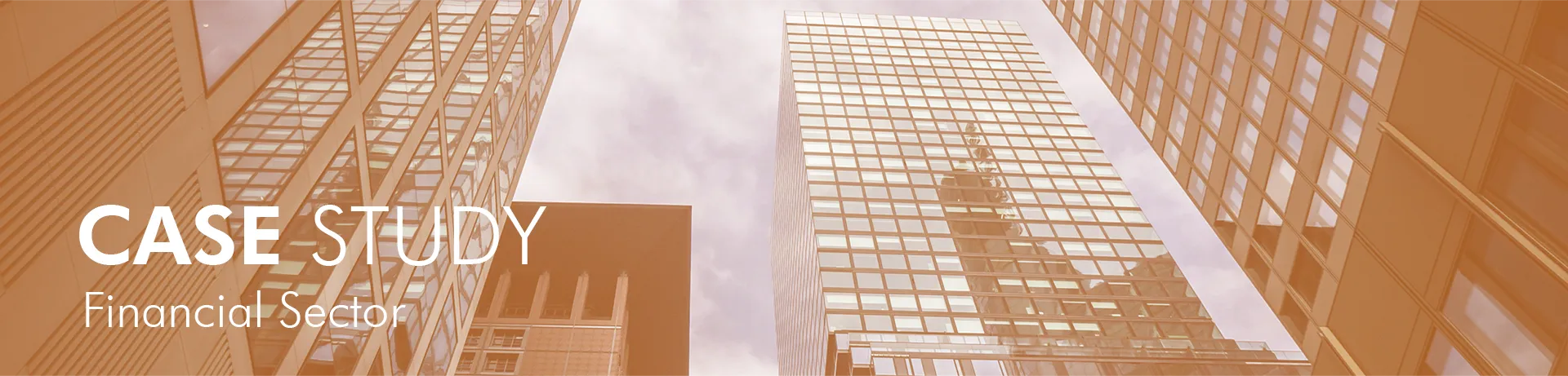 Case Study from the Financial Sector